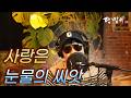 달맞이 cover - 사랑은 눈물의 씨앗(나훈아) Cover by Dalmaji #달맞이 #트로트 #나훈아 #사랑 #눈물 #씨앗 #사랑은눈물의씨앗
