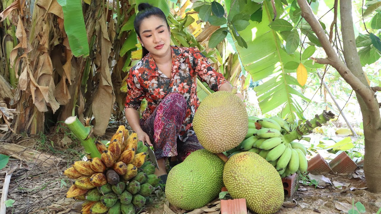 Countryside Life TV: Harvest jack fruit, banana and make banana leave cake | Banana leaves cake