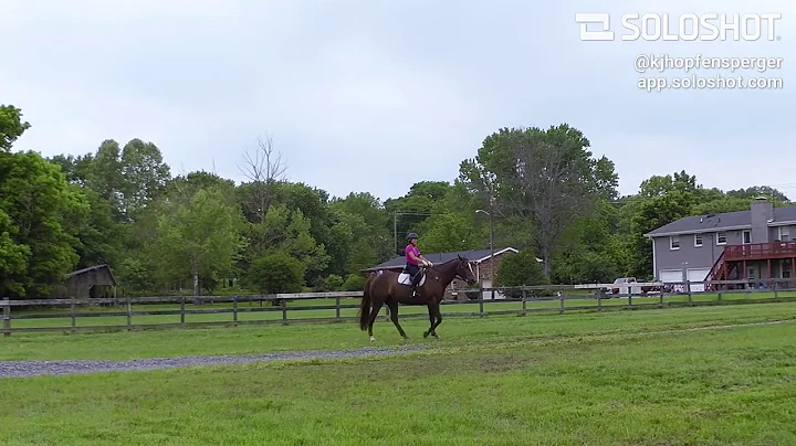 Horsing Around 5/15/19