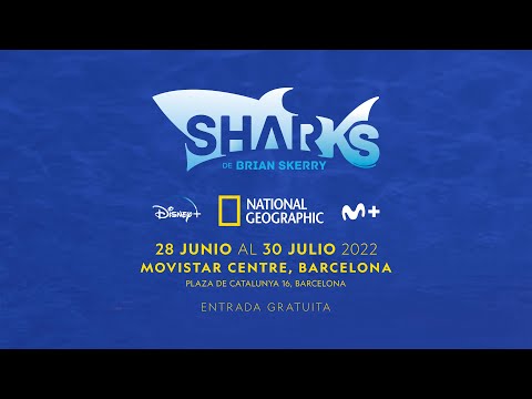 LLEGA A BARCELONA LA EXPOSICIÓN “SHARKS DE BRIAN SKERRY” DE NATIONAL GEOGRAPHIC
