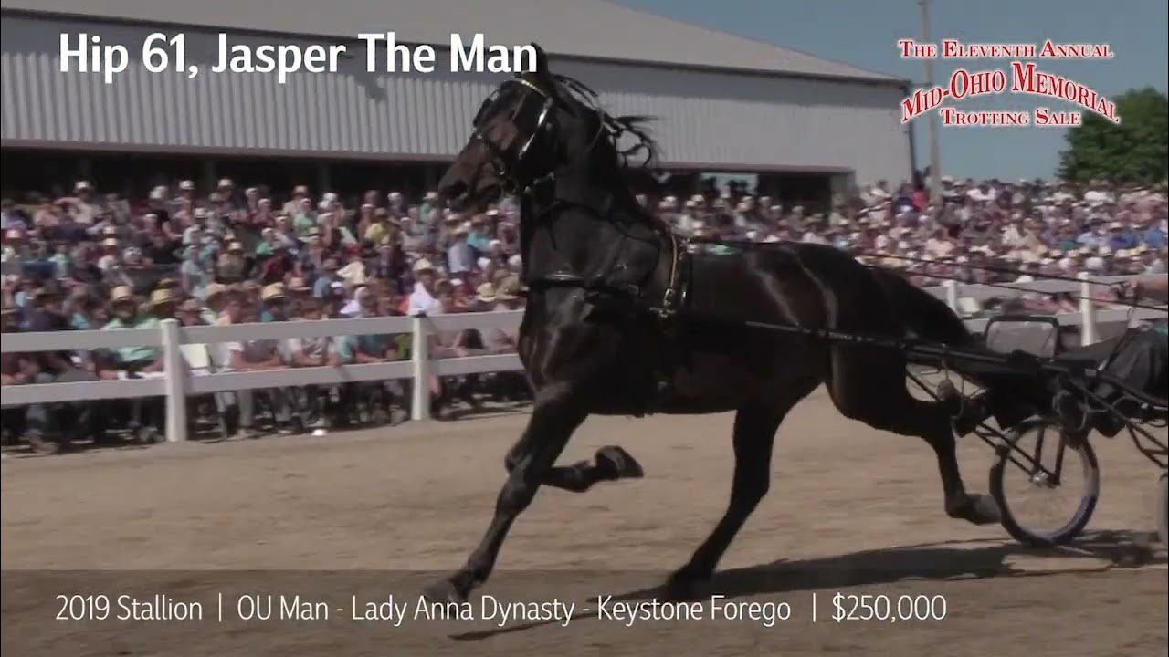 Hip 61, Jasper The Man 250,000 Mid Ohio Memorial Trotting Sale