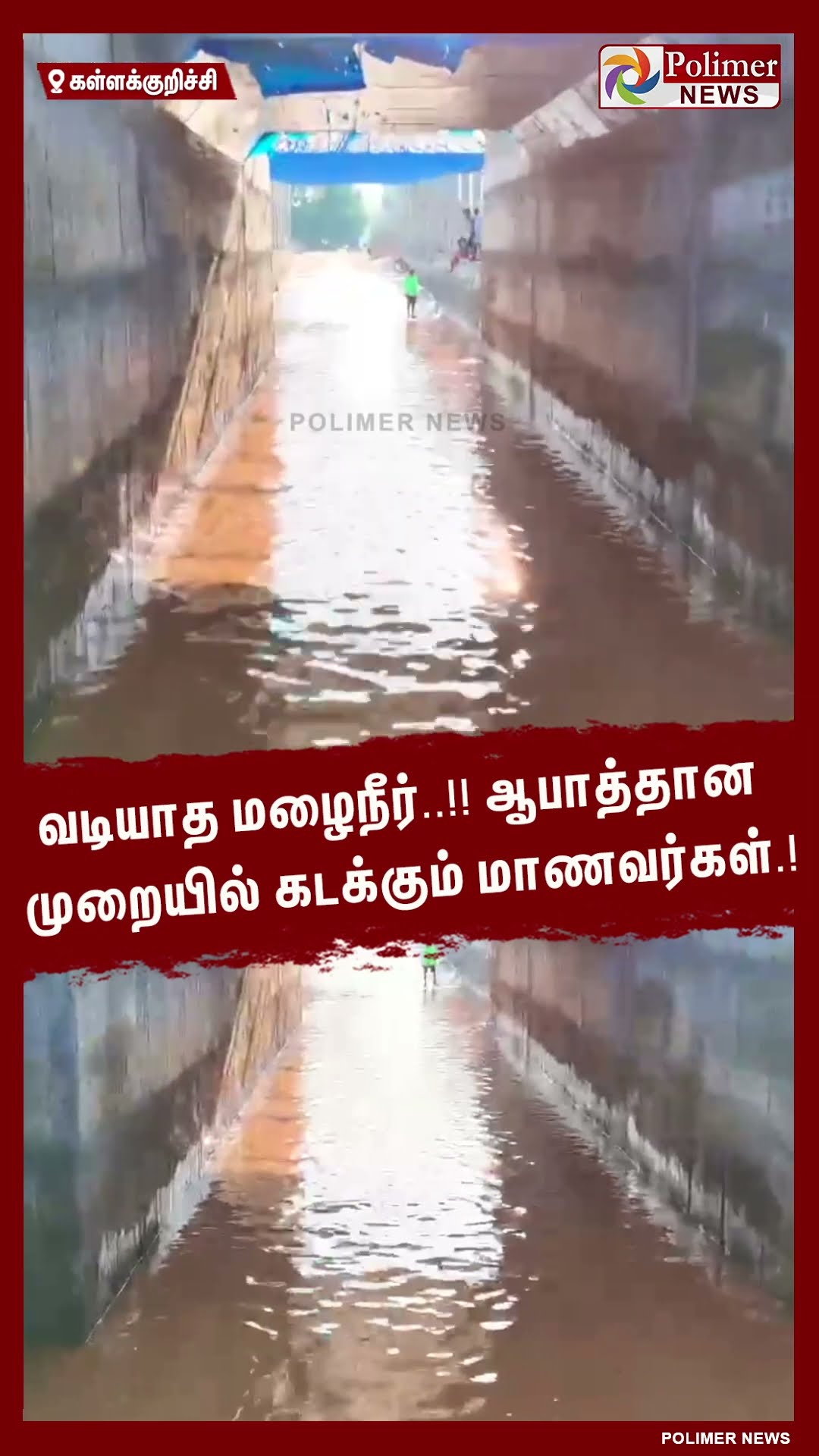 வடியாத மழைநீர்..!!  ஆபத்தான முறையில் கடக்கும் மாணவர்கள்.! #shorts