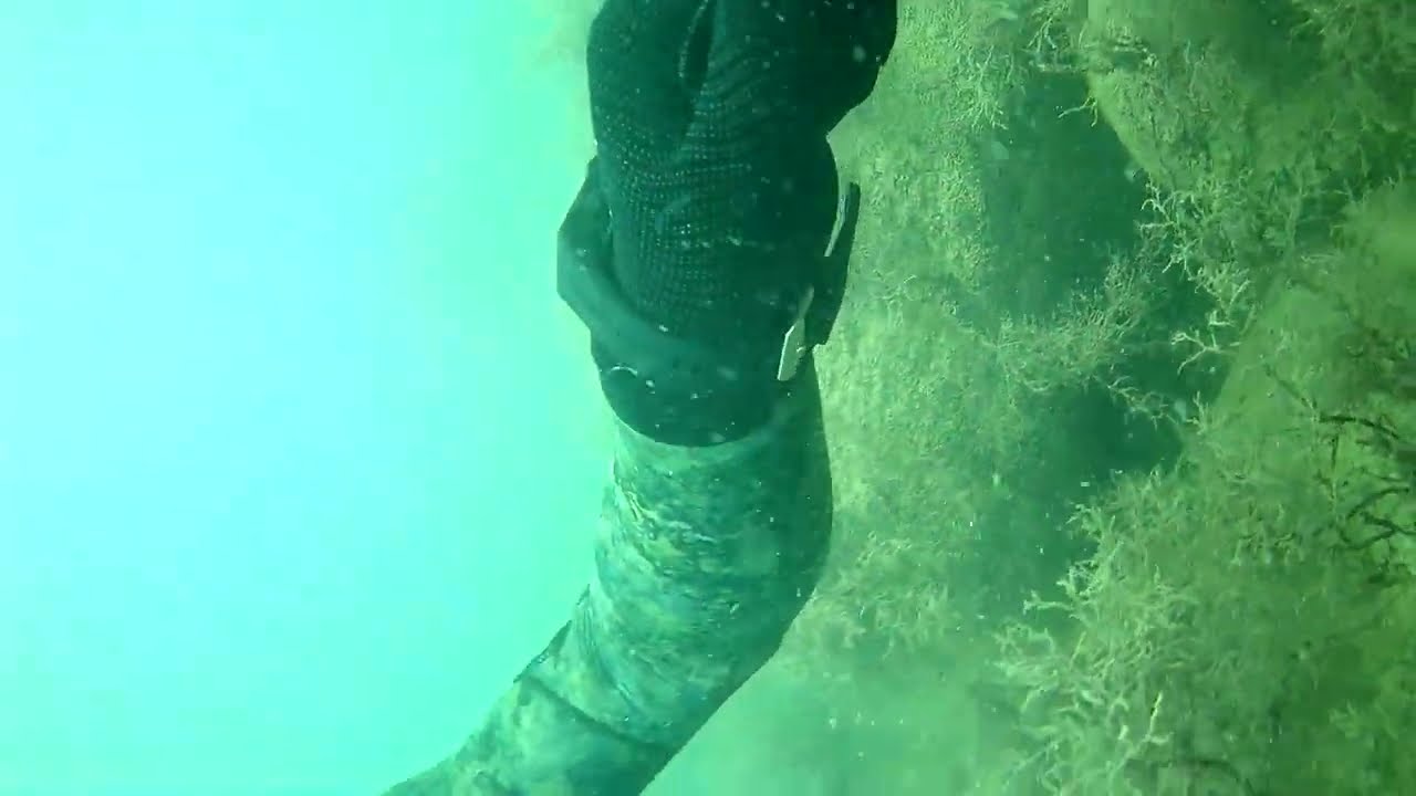 sjcam c100+ тест под водой