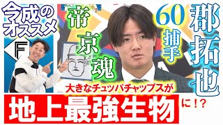 【地上最強生物】帝京魂の万能捕手！郡拓也《今成紹介所》【2/7 ファイターズキャンプ】（北海道日本ハムファイターズ）