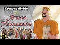 DIVISIÓN DEL NUEVO TESTAMENTO || Evangelios | HECHOS | Cartas PAULINAS (de PABLO) || Lección # 4