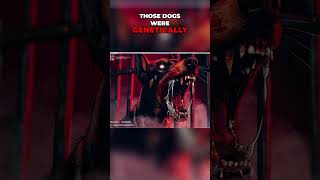 Cerberus Vs Zombie Dogs - differences explained