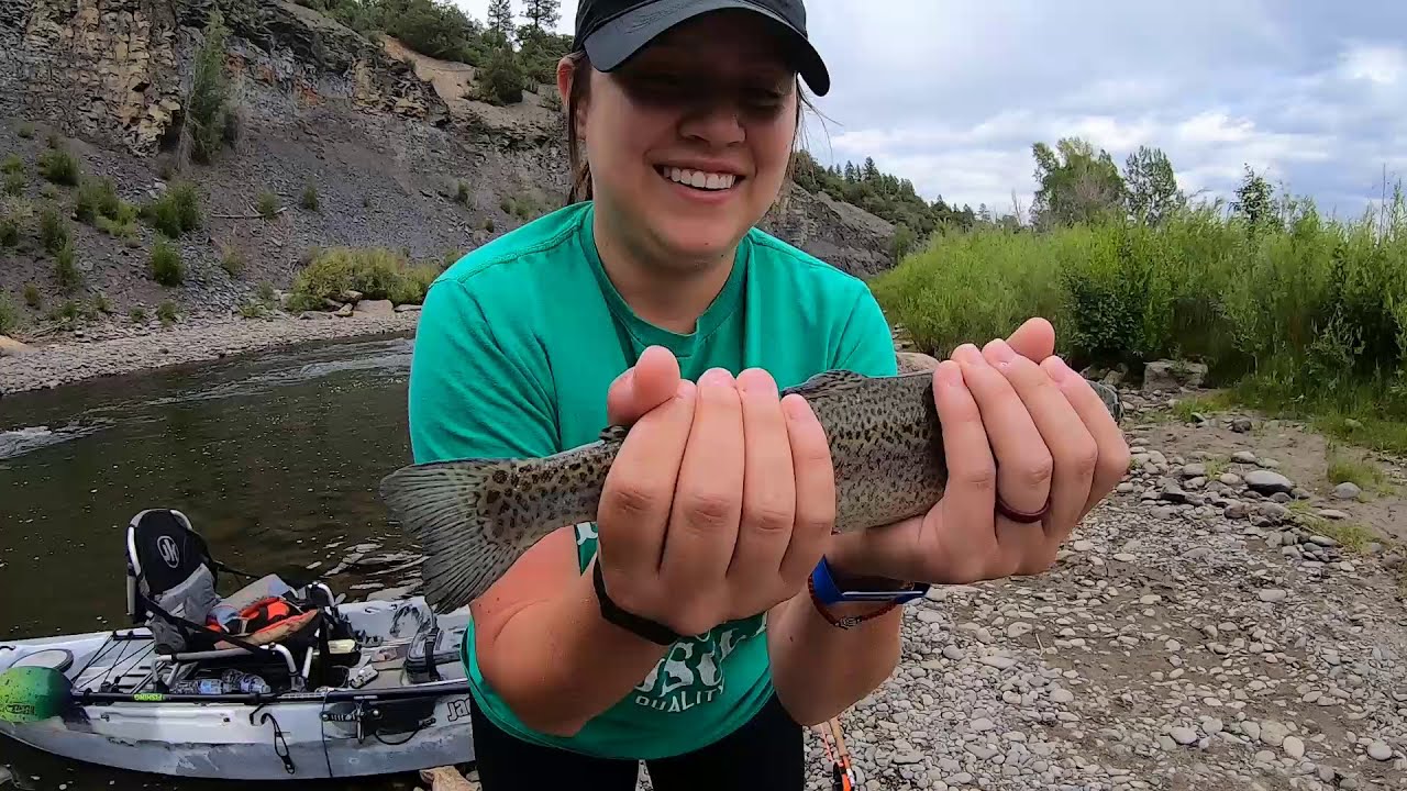 FLY FISHING BACKWOODS OF COLORADO
