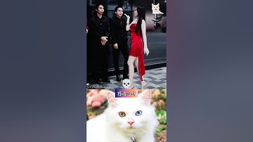 When I showed some attitude the boys couldn t stop laughing 😅 #cat #dance #memes #aura