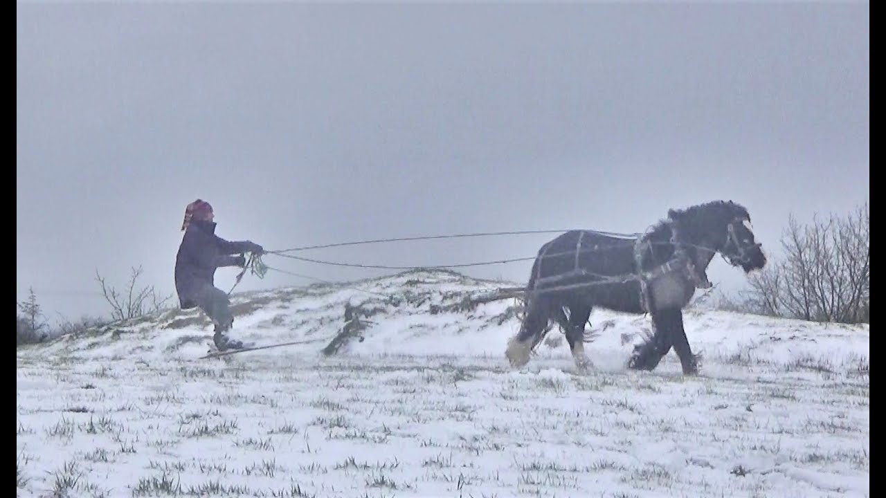 How To Ski With A Horse (Irish Style!) YouTube