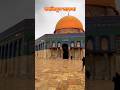 The Best Three Masjids In The World Shorts Masjid Makkah Madina Islamicvideo The Best Three Masjids In The World Shorts Masjid Makkah Madina Islamicvideo