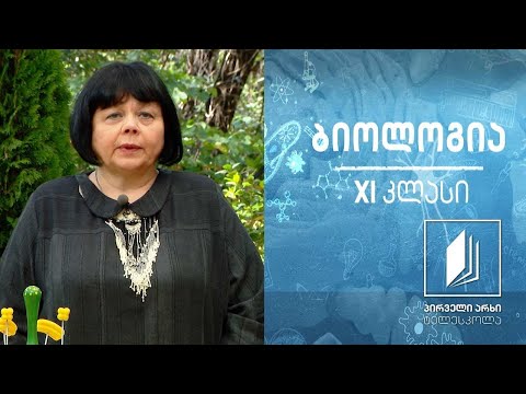 ბიოლოგია XI კლასი - ორმაგი განაყოფიერება ყვავილოვან მცენარეებში #ტელესკოლა