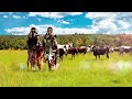 Inkabi Zezwe, Sjava & Big Zulu -  Slow Jam Sase Bergville [Official Visualiser]