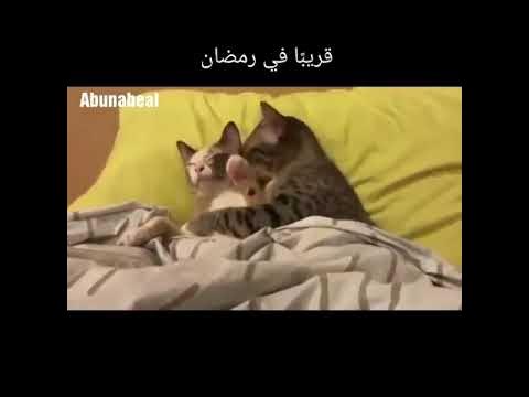 fi ramadan youtube
