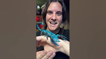 Glow In The Dark Scorpion 
