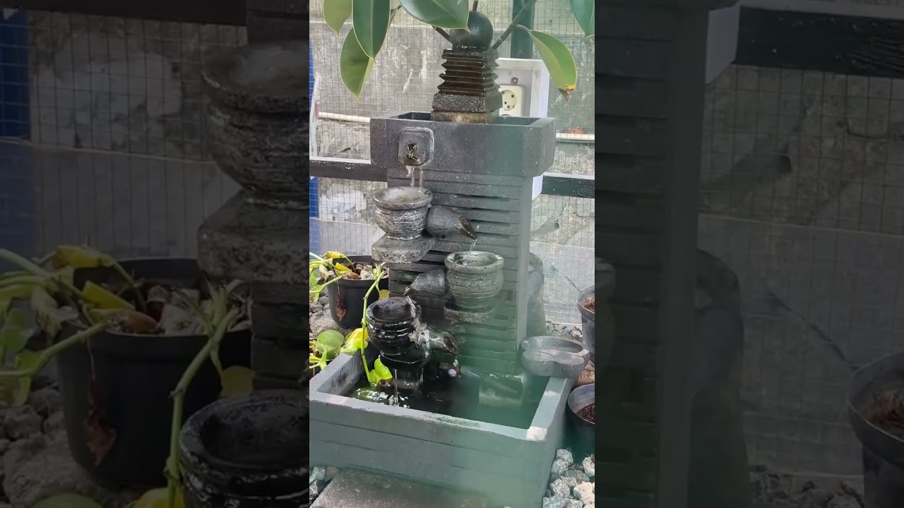 Today’s story | a bright day 