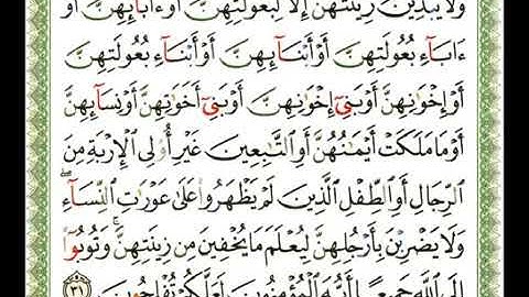 سورة النور 24 - 114  شيرزاد عبد الرحمن طاهر - قراءة مرتلة