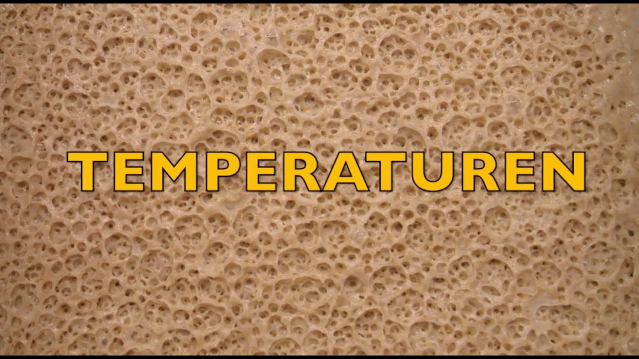 Sauerteig Profiwissen - Temperaturen