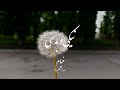 شعر زیبا از خیام   نیکی و بدی که در نهاد بشر است                                   نجومي