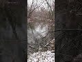 Пробудись прямо сейчас!
