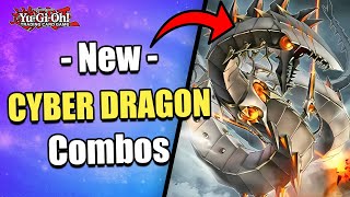 3 MUST KNOW COMBOS!!! | NEW PURE CYBER DRAGON COMBOS! | POST ALLIANCE INSIGHT! |  Yu-Gi-Oh!