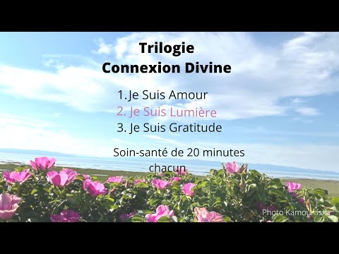 Trilogie Connexion Divine : 2e Je Suis Lumière !