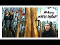 HOW TO MAKE MAPLE SYRUP | From Tree to Crepe! | Soooo GOOD!