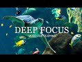 Deep Focus Music To Improve Concentration - 12 Hours of Ambient Study Music to Concentrate