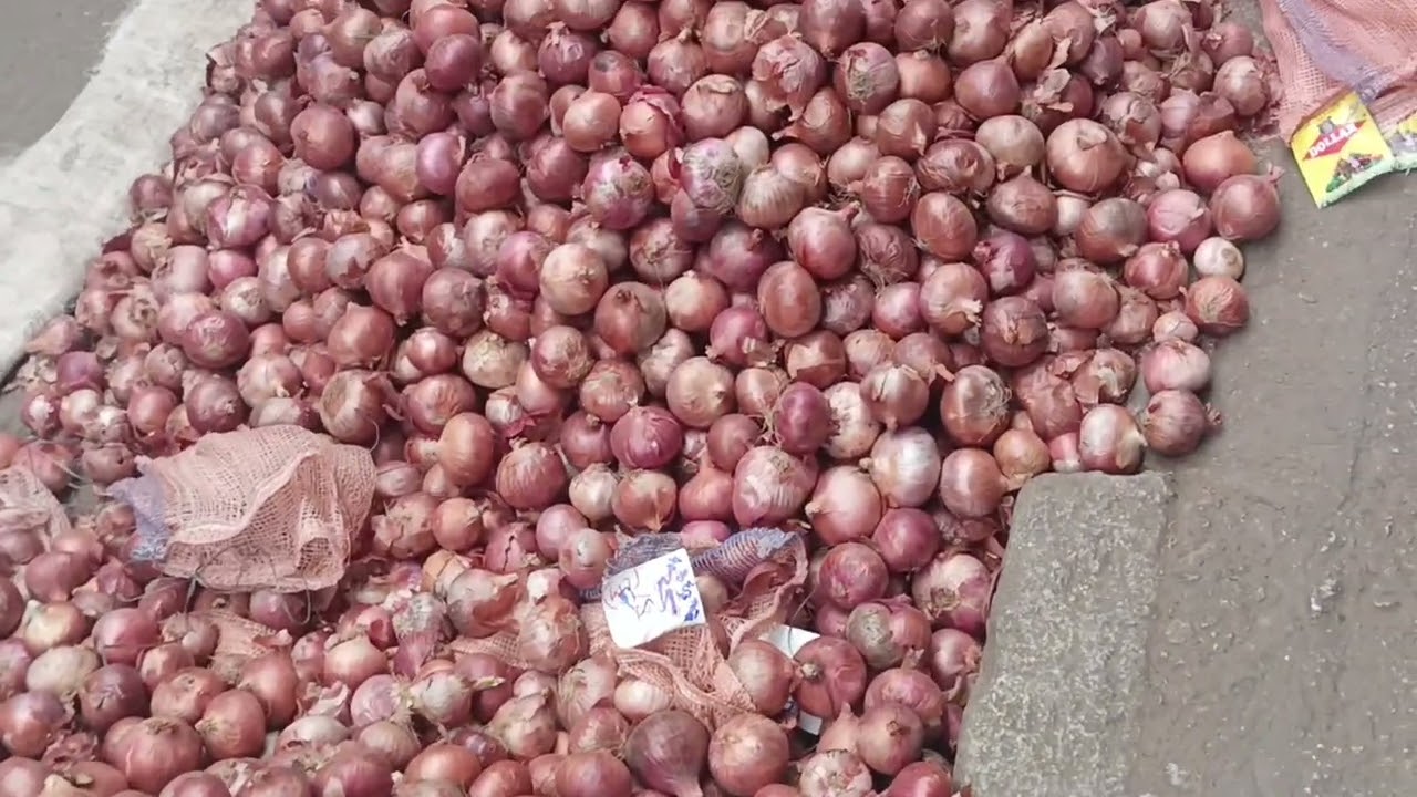 today onion in yeswanthpur apmc yard