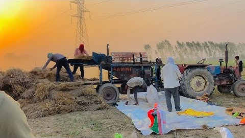 Wheat 🌾⚠️🇨🇦#jaat #jaatmind #jaatland #jaatstatus #tubewell #jaatsong #gaamaaale #kisan #farming