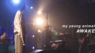 My Young Animal Awake At Ooparts2021