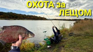 видео: Фидерная ОХОТА НА ЛЕЩА! Осенний улов на реке — трофейный лещ в садке картинка: Фидерная ОХОТА НА ЛЕЩА! Осенний улов на реке — трофейный лещ в садке