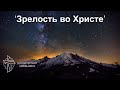 Урок 2: ‘Эмоциональная зрелость’, Максим Сотниченко