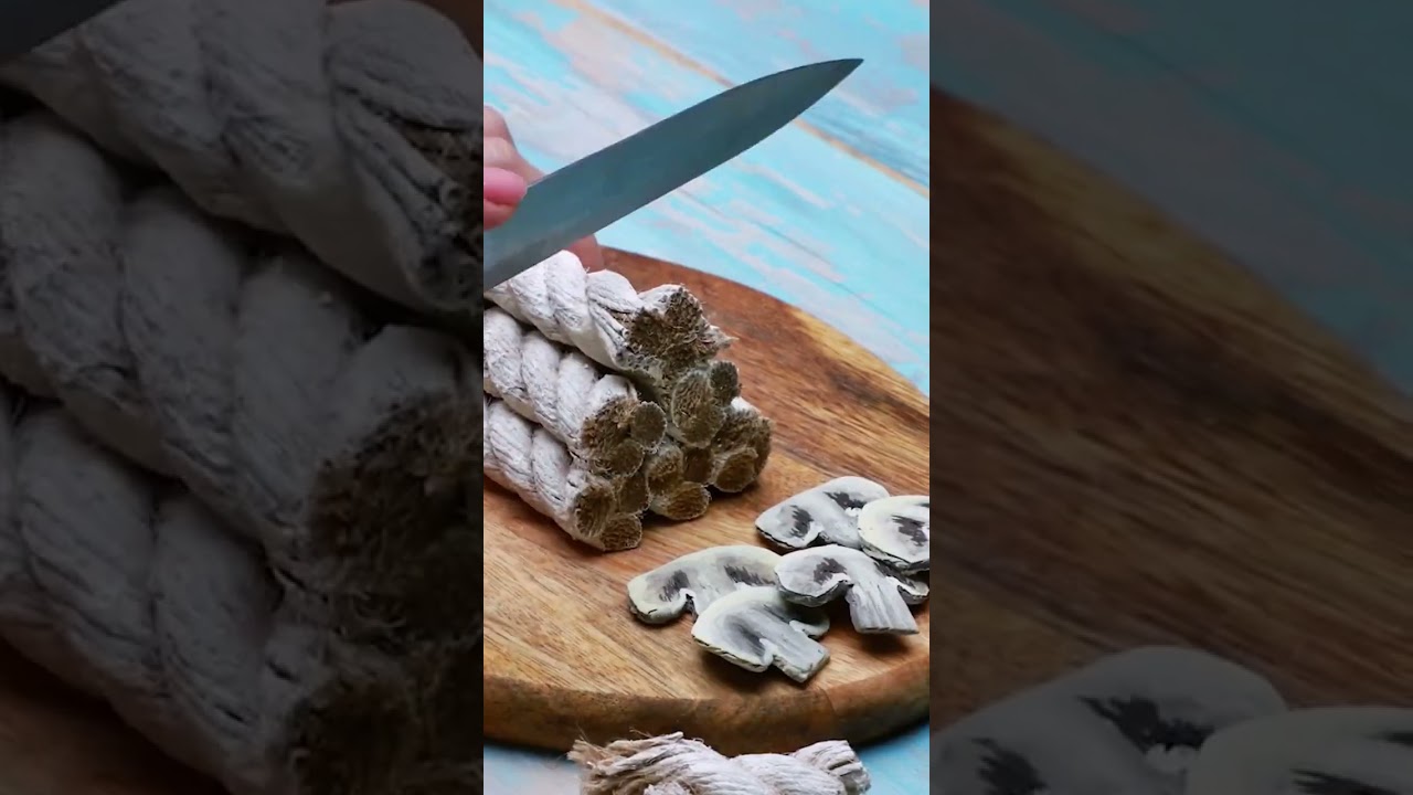 amazing stop motion video 