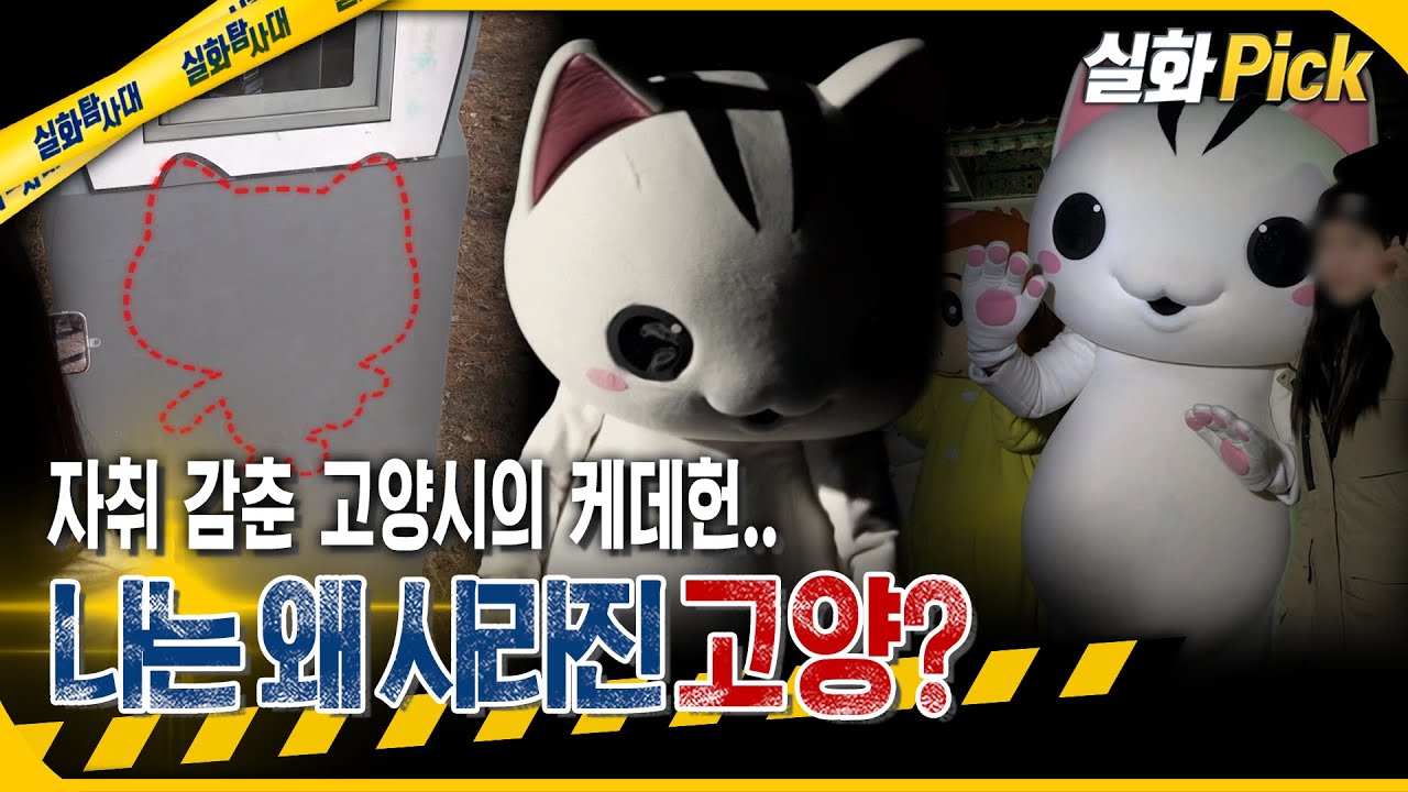[실화Pick] 어디로 갔을까? 자취 감춘 고양시 케데헌 고양 고양이  #실화탐사대 #실화On MBC260129방송