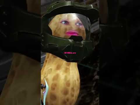When your friends are your worst enemies  Constant team-killing and absolute chaos in Halo.  #funny