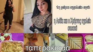 #vlog πρώτη μέρα σχολείο εγώ | τα παιδιά σχολείο & συγκινήθηκα | σουσού, νέα, ταπερακια | mariaa_ria