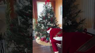 Tybee Island Light Station Holiday Video 2025