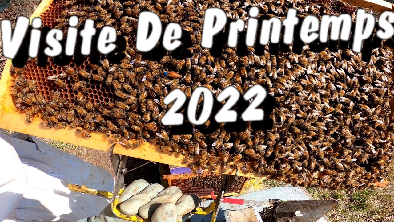 Visite de printemps 2022