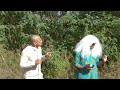 Interdependence | Biraland #8
