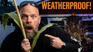 DIY Halloween Decor: Build Corn Stalks That Last All Season!