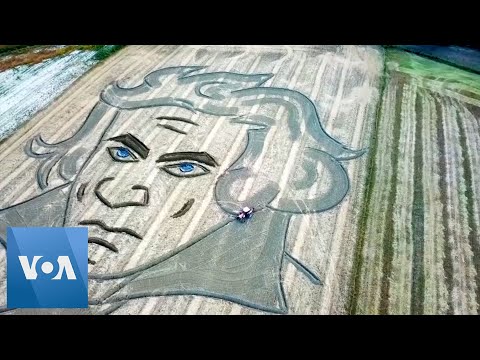 Land Artist Plows Beethoven’s Face Into Italian Field