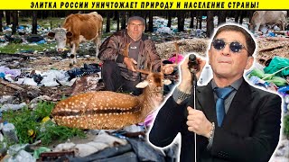 VIP браконьеры, новые мусорные поборы и уничтоженная природа России