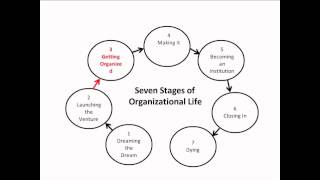 Seven Stages of Organizational Life