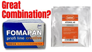 Fomapan 200 developed in Atomal 49