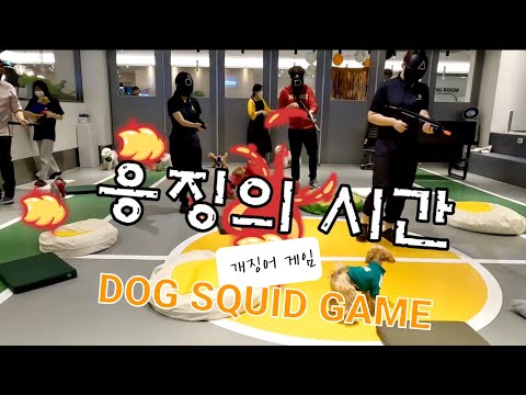강아지 오징어게임 (개징어게임) dog squid game