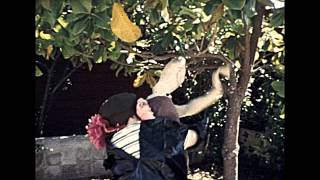 Found Super 8 Film - Backyard Pirate Attack - Moviestuff Retro-8