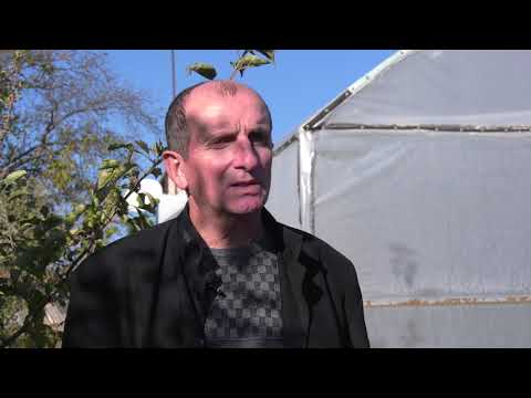 ლერი ციცაგი ,,ელკანას\" წევრი ფერმერი გორის მუნიციპალიტეტი, სოფელი ახალუბანი