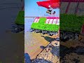 best voice Quran majeed tilawat #islamicvideo #islamicshorts