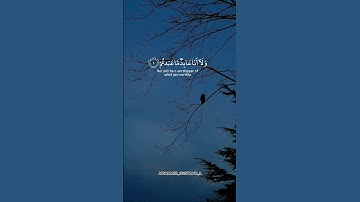 سورة الكافرون 💙 #القرآن_الكريم #قرآن #quran #fypシ #fyp #viral #islam
