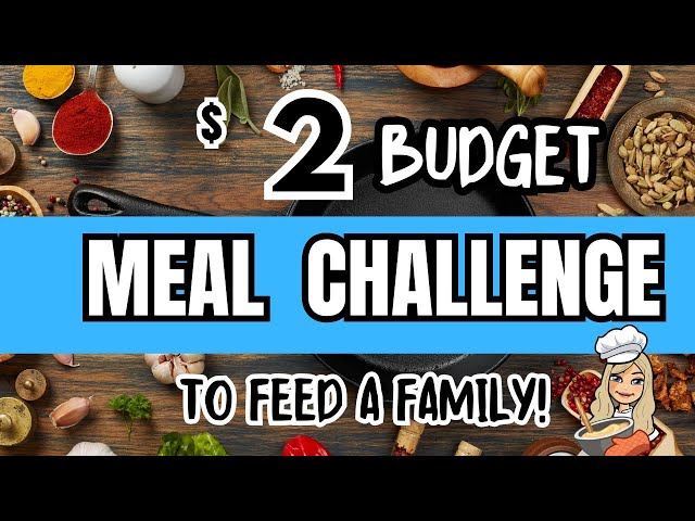 EXTREME BUDGET CHALLENGE | TO FEED A FAMILY class=